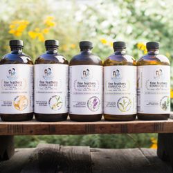 Fine Feathers Kombucha - Bottle line up!