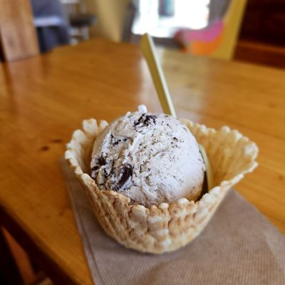 Arcata Scoop by null