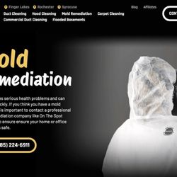On the Spot Cleaners - Mold Remediation; what to expect? Call today for a free in-home consultation.