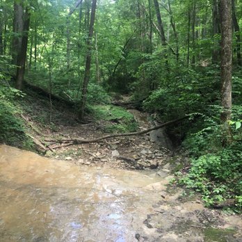 Broad Run Park - Limestone Gorge trail - Parks Near Me - Louisville, Kentucky Broad Run Park - Limestone Gorge trail - Parks Near Me - Louisville, Kentucky