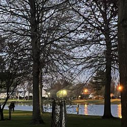 Arthur J Hendrickson Park - Views of Hendrickson park