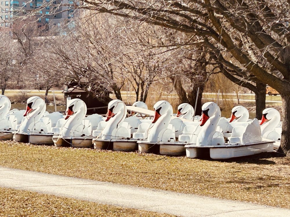 Wheel Fun Rentals - Veterans Park North Logo