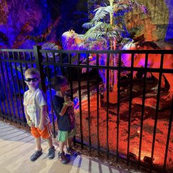 Dinosaur World