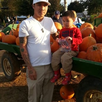 Bishop's Pumpkin Farm - Huge pile of pumpkins in the front for easy picking. - Christmas Trees Near Me - Wheatland, California Bishop's Pumpkin Farm - Huge pile of pumpkins in the front for easy picking. - Christmas Trees Near Me - Wheatland, California