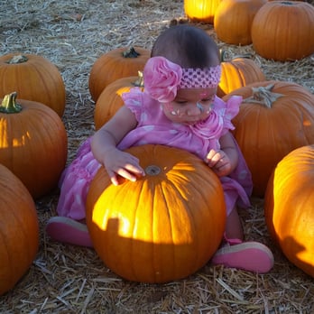Bates Nut Farm - Our baby Summer posing with all the pumpkins - Specialty Food Near Me - Valley Center, California Bates Nut Farm - Our baby Summer posing with all the pumpkins - Specialty Food Near Me - Valley Center, California
