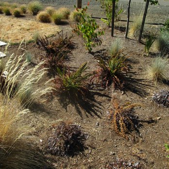 Roseburg Landscape Maintenance - "Welcome to the lush surroundings of ..." - Landscaping Near Me Roseburg Landscape Maintenance - "Welcome to the lush surroundings of ..." - Landscaping Near Me