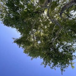 Gwinn Park