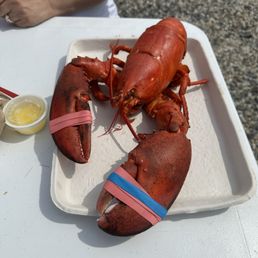 This place is amazing, choose this guy...3 1/2 lb'r...so delish!