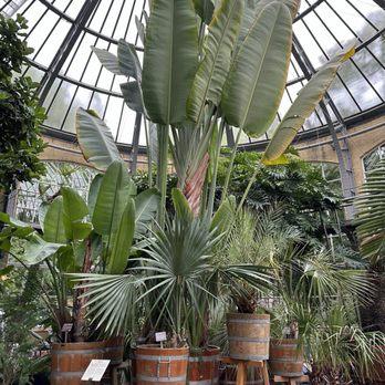 De Hortus Botanicus - Some very tall plants - Venues & Event Spaces Near Me - Amsterdam, New Hampshire De Hortus Botanicus - Some very tall plants - Venues & Event Spaces Near Me - Amsterdam, New Hampshire
