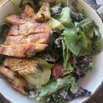 Venice Beach Bar & Kitchen - Goddess with Chicken - Dive Bars Near Me - Venice, California