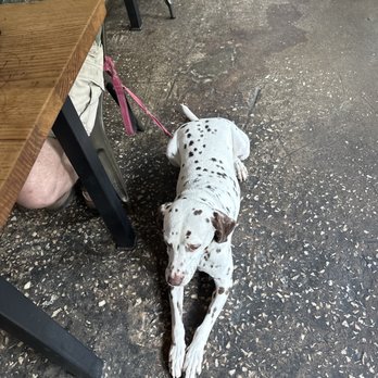 12 Bones Brewing - Dog friendly! - Breweries Near Me - Arden, North Carolina
