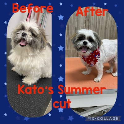 Grooming - Call us for Estimates! Grooming - Call us for Estimates!