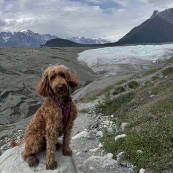 Doggie Dog World - Journey - Pet Groomers Near Me - Anchorage, Alaska Doggie Dog World - Journey - Pet Groomers Near Me - Anchorage, Alaska