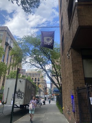 New York University by null