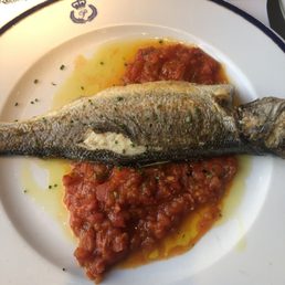 Fish of the day with a tomato sauce Fish of the day with a tomato sauce