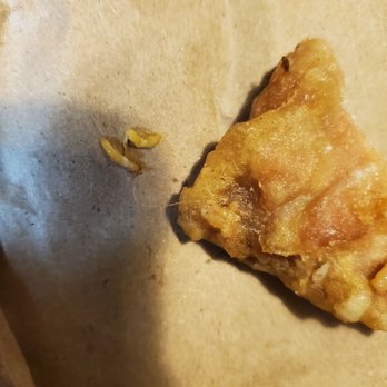 Lee House - Hair fried into my food. Never eating here again. Disgusting. - Dim Sum Near Me - Brandon, Florida Lee House - Hair fried into my food. Never eating here again. Disgusting. - Dim Sum Near Me - Brandon, Florida
