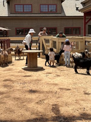 River Street Ranch by null