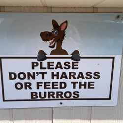 Walter's Camp - Don't worry, they'll harass you all night!