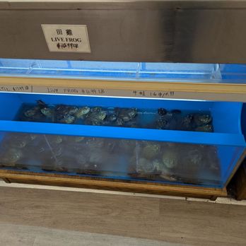 Oriental Market - Live frogs - International Grocery Near Me - Pittsburgh, Pennsylvania