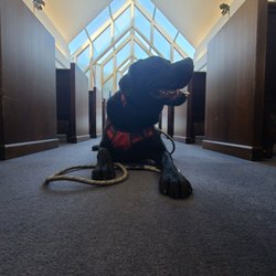 James H Quillen Va Medical Center - Spiritual therapy dog, River Rhine