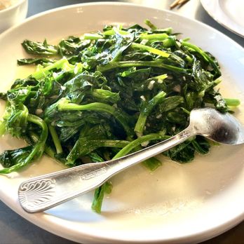 Chuan Fu 川府 - Stir-Fried Pea Shoots with Garlic - Chinese Near Me - Winter Park, Florida Chuan Fu 川府 - Stir-Fried Pea Shoots with Garlic - Chinese Near Me - Winter Park, Florida