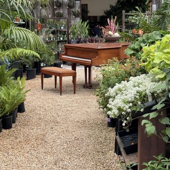 Flora Grubb Gardens - Ah, music in the green - Nurseries & Gardening Near Me - San Francisco, California