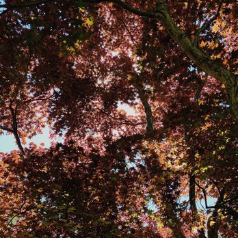 Reeves-Reed Arboretum - Venues & Event Spaces Near Me - Summit, New Jersey Reeves-Reed Arboretum - Venues & Event Spaces Near Me - Summit, New Jersey