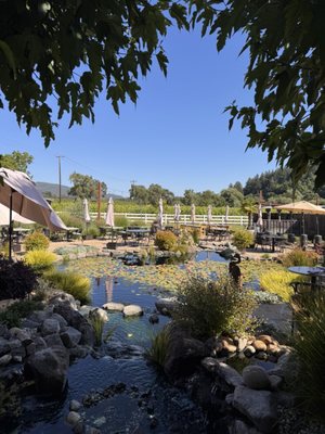 Salt & Stone by null