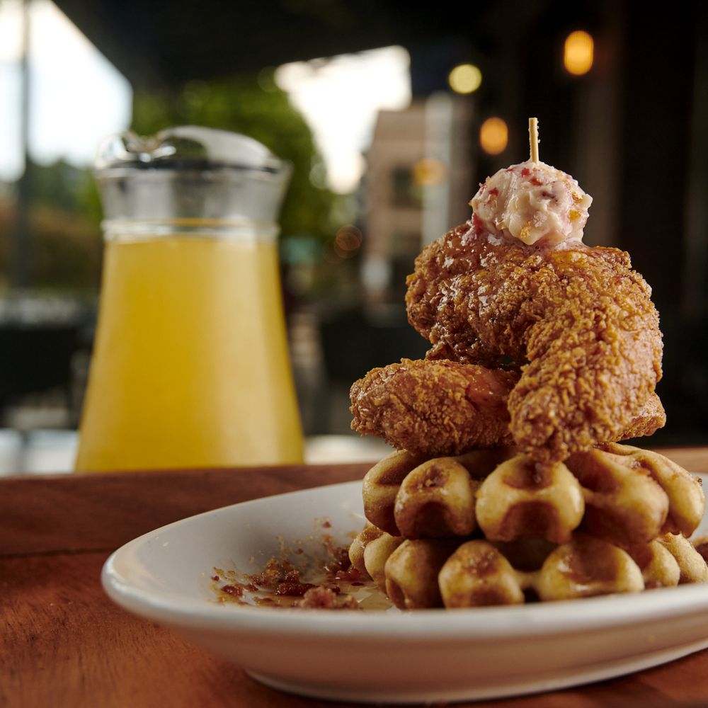 mimosa TOP 10 BEST Gastropubs in Tallahassee, FL - Updated 2025 - Yelp