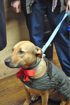 Charles Street Liquors by null