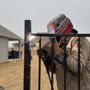 Photo of AT4 Fence & Custom Exteriors