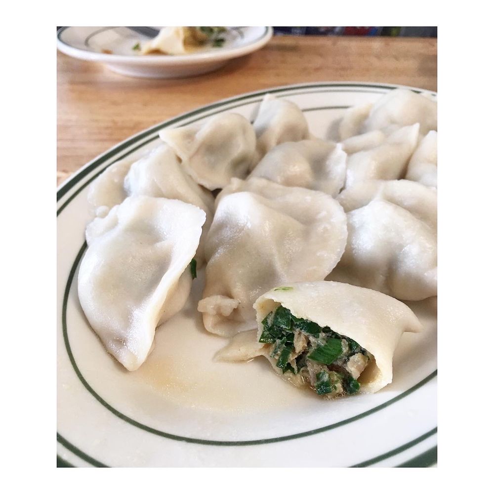 New Dumpling - Chive, shrimp & pork dumplings - Chinese Near Me - El Cerrito, California New Dumpling - Chive, shrimp & pork dumplings - Chinese Near Me - El Cerrito, California