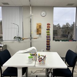 Newport Hand Center
