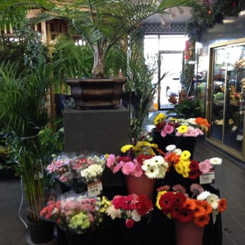 Klondyke Flowers - Florists Near Me - St. Albert, Alberta Klondyke Flowers - Florists Near Me - St. Albert, Alberta