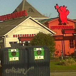 Hippopotamus