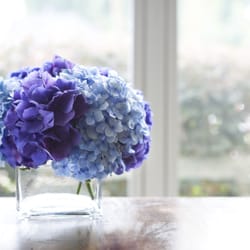 Lakeview Plastic Surgery - Some flowers that we have displayed at Lakeview Plastic Surgery