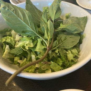 Pho VN Vietnamese Restaurant - A bit of basil and mint. More lettuce for what???? - Vietnamese Near Me - Union City, California Pho VN Vietnamese Restaurant - A bit of basil and mint. More lettuce for what???? - Vietnamese Near Me - Union City, California