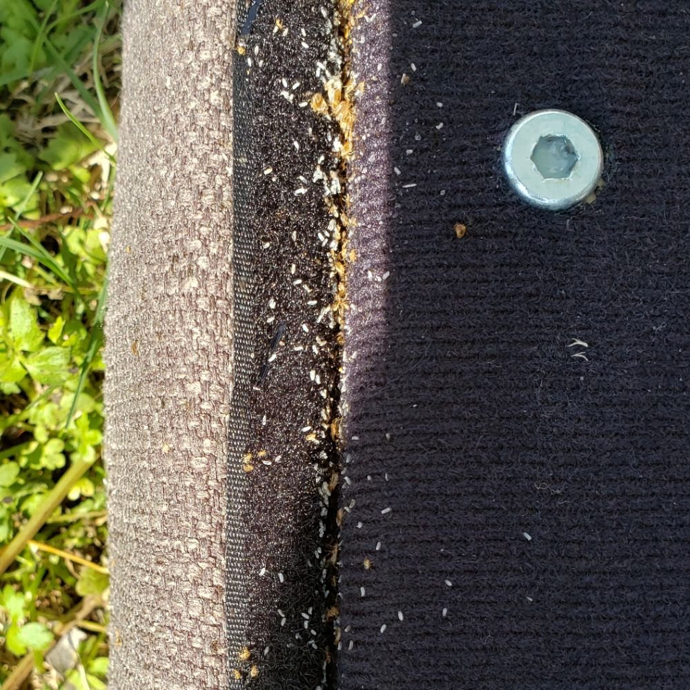 SMITH’S PEST CONTROL Updated July 2024 64 Photos Memphis