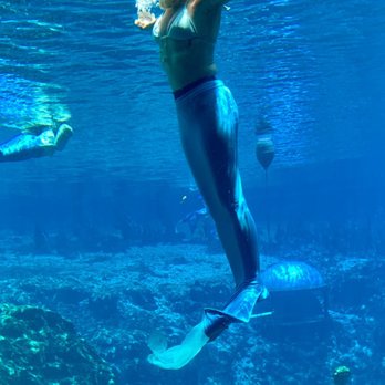 Weeki Wachee Springs - A moment I'll remember! - Amusement Parks Near Me - Spring Hill, Florida Weeki Wachee Springs - A moment I'll remember! - Amusement Parks Near Me - Spring Hill, Florida