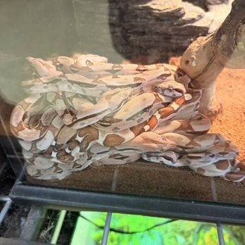 Zookeeper - Pet Stores Near Me - Austin, Texas Zookeeper - Pet Stores Near Me - Austin, Texas