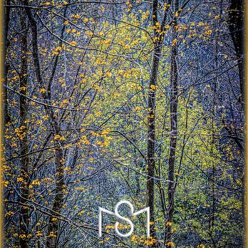 Smoke N Mirrors Photography - Landscape images - Art Galleries Near Me - Oakland, Maryland Smoke N Mirrors Photography - Landscape images - Art Galleries Near Me - Oakland, Maryland