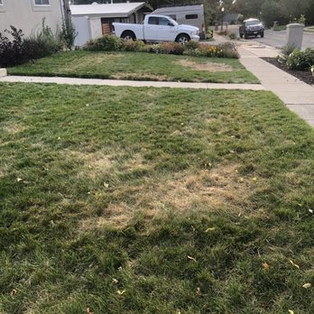 Stewart's Lawn Care and Pest Control - This is why I don't recommend this company. - Pest Control Near Me - Orem, Utah Stewart's Lawn Care and Pest Control - This is why I don't recommend this company. - Pest Control Near Me - Orem, Utah