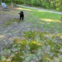 Cedarville State Forest
