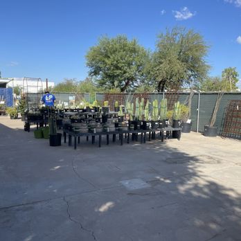 SummerWinds Nursery - West Bell - Great selection - Nurseries & Gardening Near Me - Glendale, Arizona SummerWinds Nursery - West Bell - Great selection - Nurseries & Gardening Near Me - Glendale, Arizona