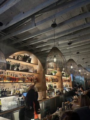 Bar Darling by null