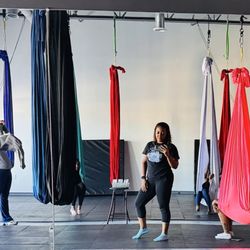 Aerial Dragonfly Movement Studio