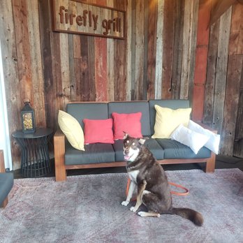 Firefly Grill - #dogfriendly #ReviewsByRL - Steakhouses Near Me - Effingham, Illinois Firefly Grill - #dogfriendly #ReviewsByRL - Steakhouses Near Me - Effingham, Illinois
