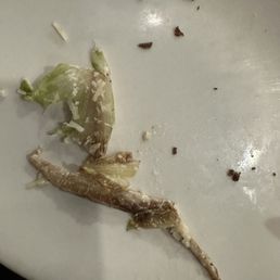 This is the wilted dark lettuce that was in the bottom of the Caesar Salad I ordered. This is the wilted dark lettuce that was in the bottom of the Caesar Salad I ordered.