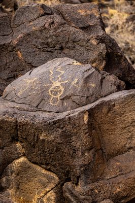 Petroglyph National Monument by null