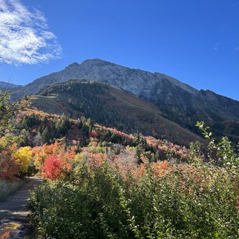 Neff's Canyon - Dog Parks Near Me - Salt Lake City, Utah